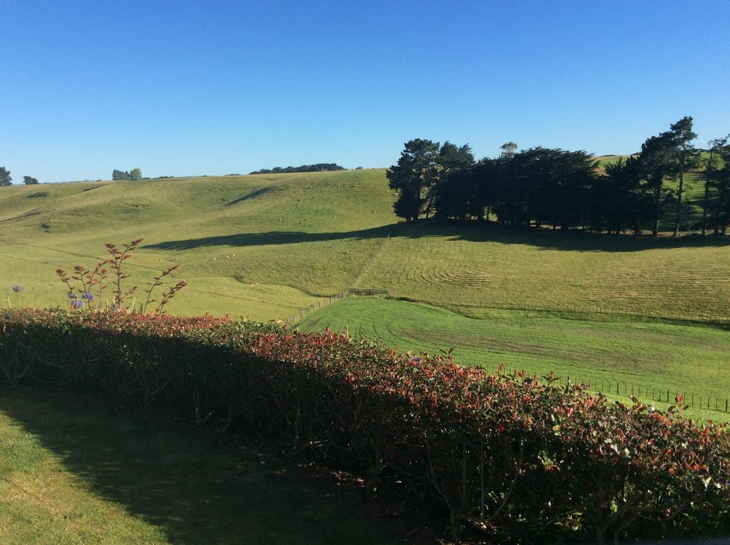 Ataahua Homestay Feilding Dış mekan fotoğraf